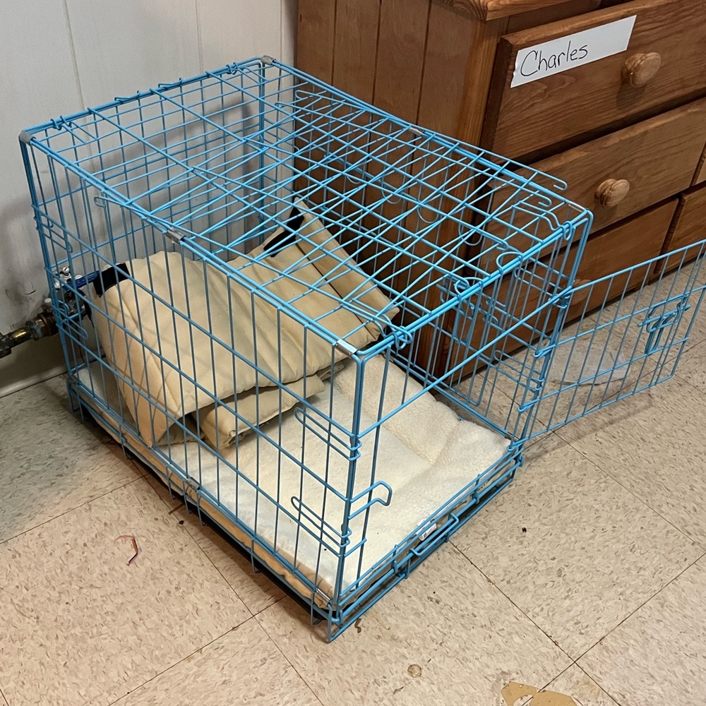 Small and medium bog or cat cage blue divider with bumpers an mat